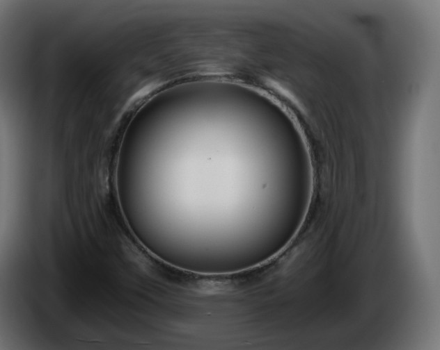 X0000084551451200703021455