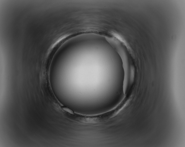 X0000084551453200703021455