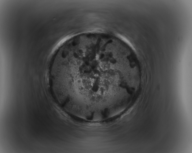 X0000084551455200703021455
