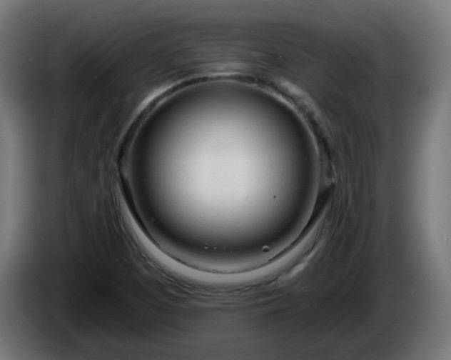 X0000084551457200703021455