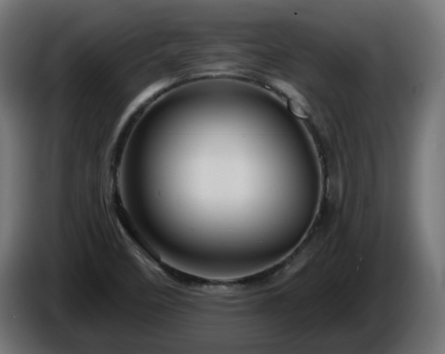 X0000084551458200703021455