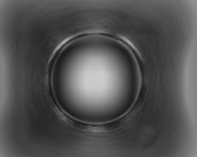 X0000084551460200703021455