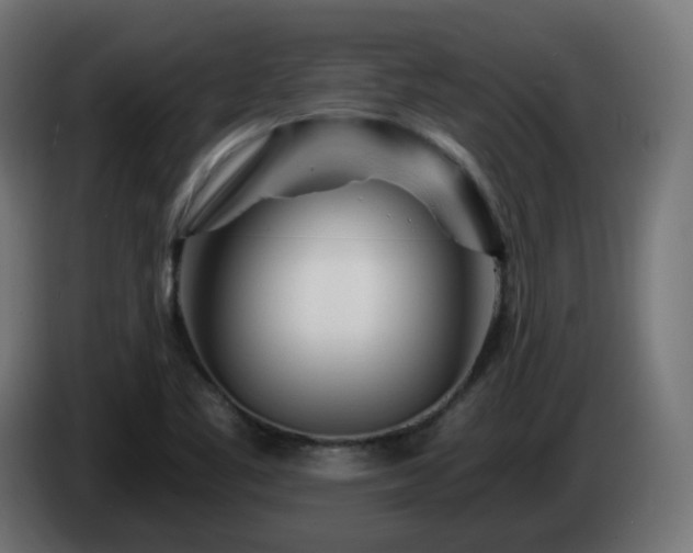 X0000084551461200703021455