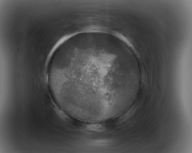 X0000084551462200703021455