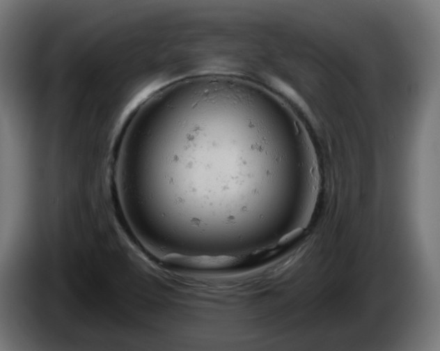 X0000084551463200703021455
