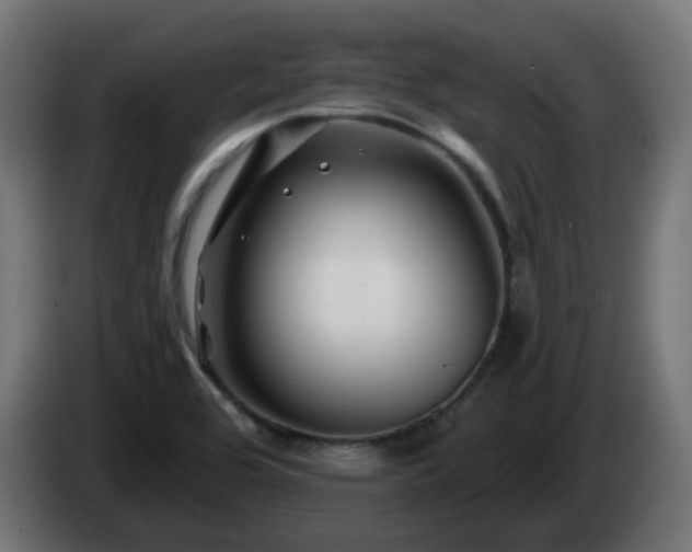 X0000084551464200703021455