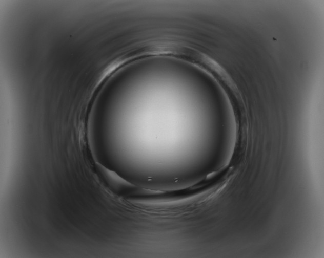 X0000084551465200703021455