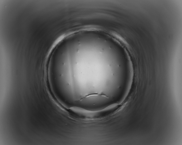 X0000084551467200703021455