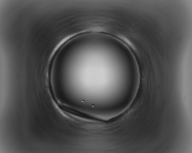 X0000084551468200703021455