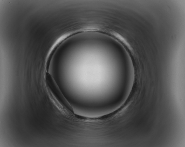 X0000084551469200703021455