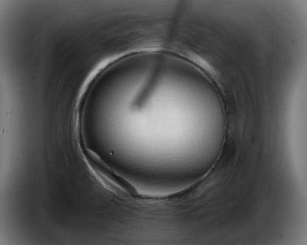 X0000084551472200703021455