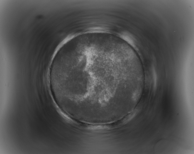 X0000084551474200703021455