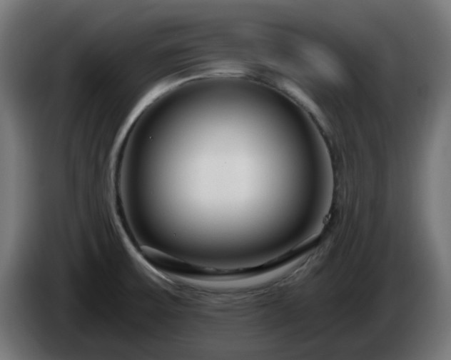 X0000084551475200703021455