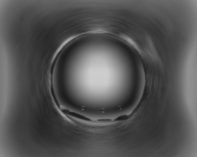 X0000084551476200703021455