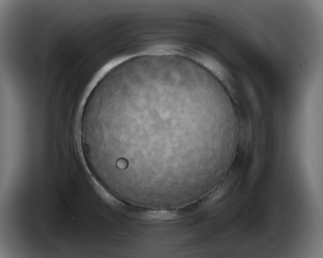 X0000084551478200703021455