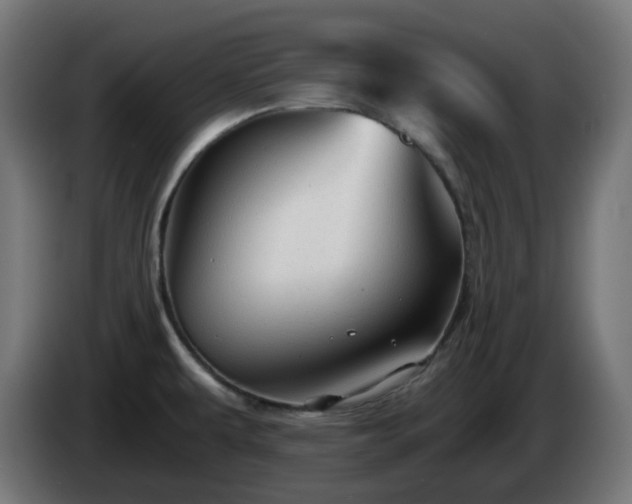 X0000084551479200703021455