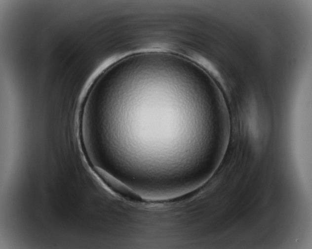 X0000084551480200703021455