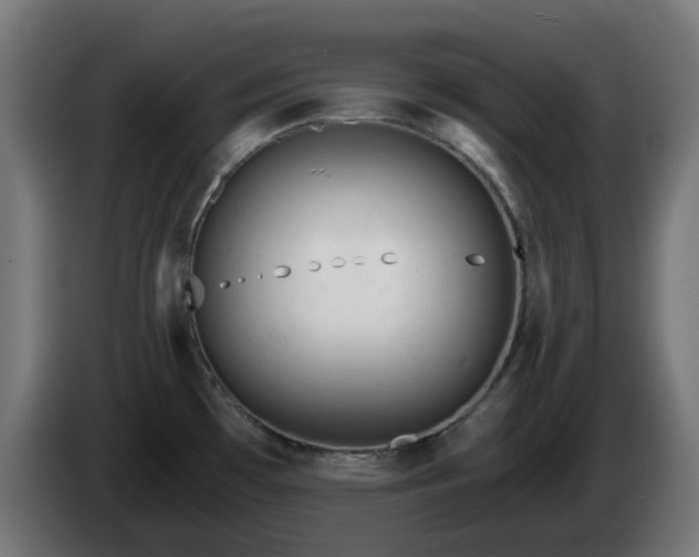 X0000084551481200703021455