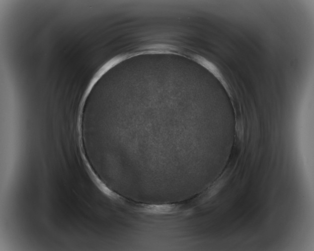 X0000084551482200703021455