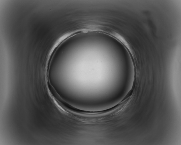 X0000084551485200703021455