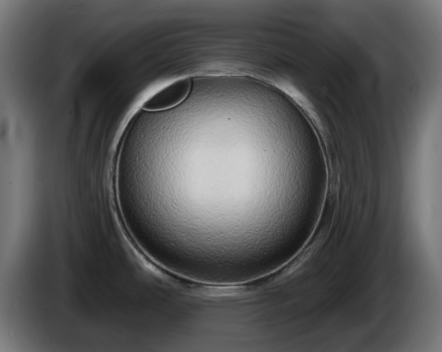 X0000084551486200703021455
