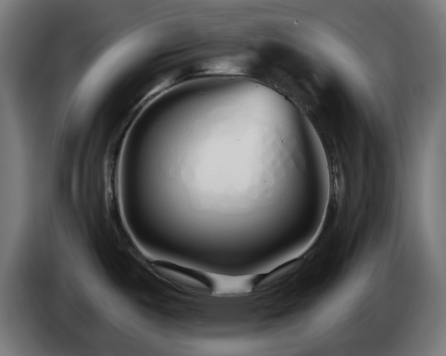 X0000084551487200703021455