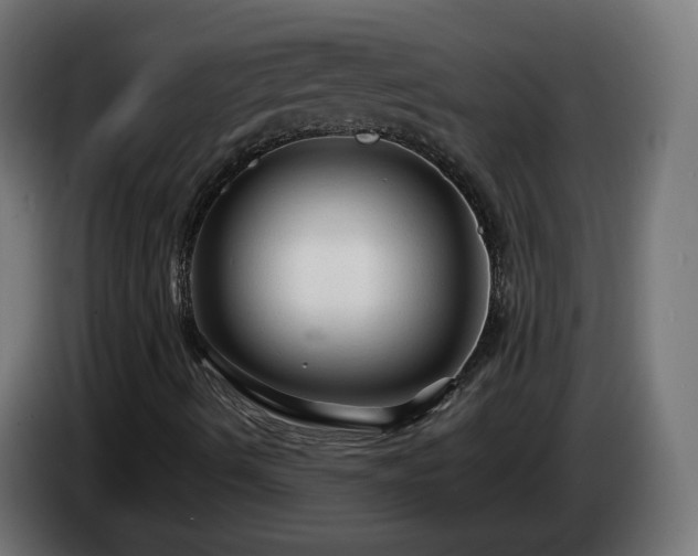 X0000084551490200703021454