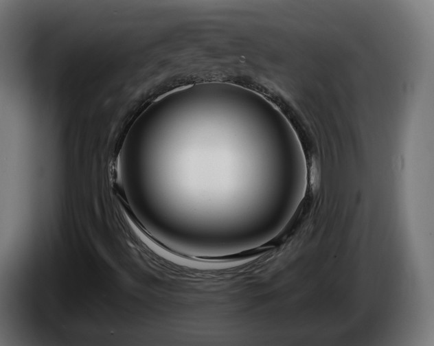 X0000084551492200703021454