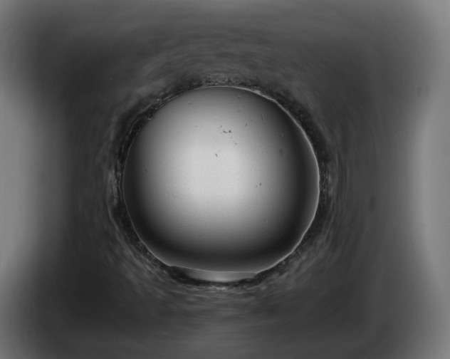 X0000084551493200703021454