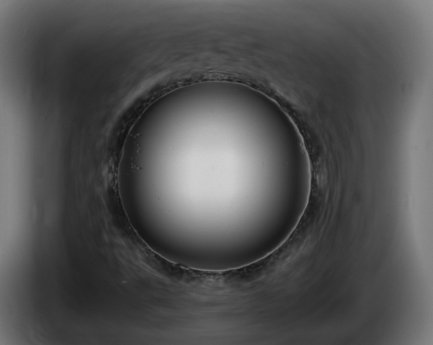 X0000084551495200703021454