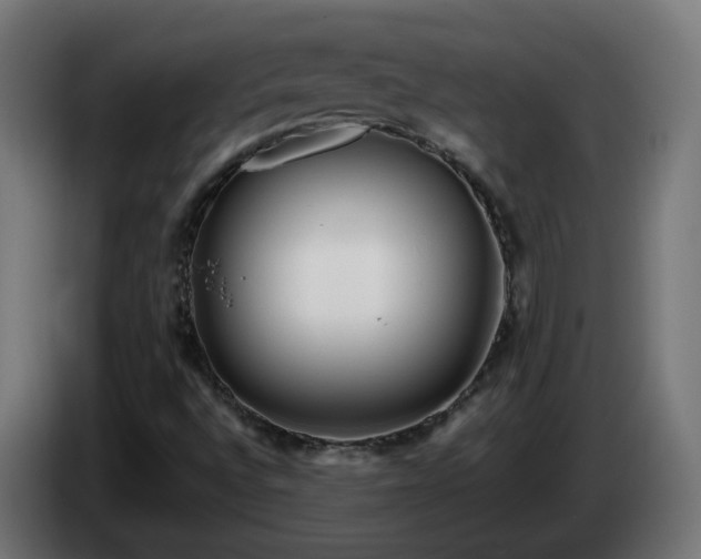 X0000084551496200703021454