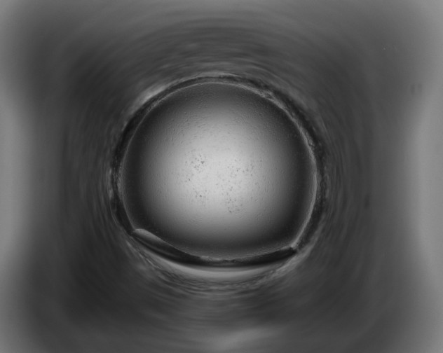 X0000084551497200703021454