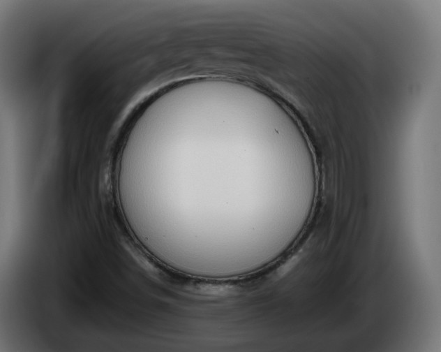 X0000084551498200703021454