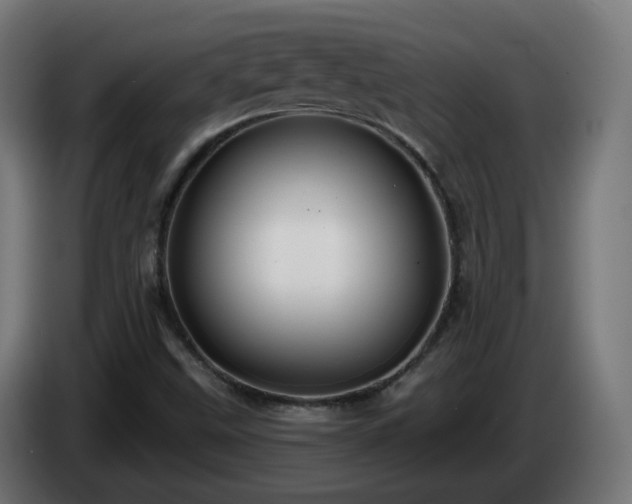 X0000084551499200703021454