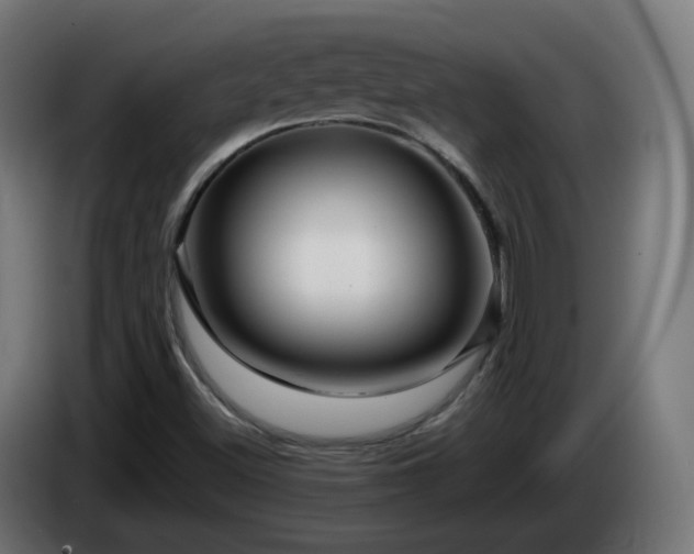 X0000084551500200703021454