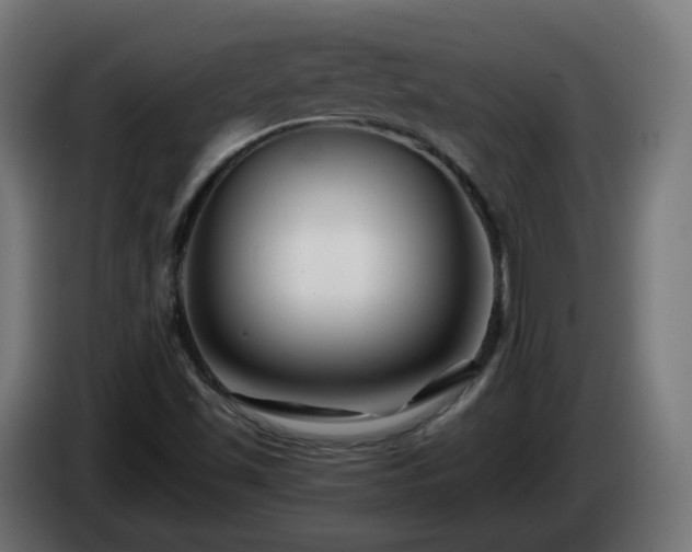X0000084551501200703021454