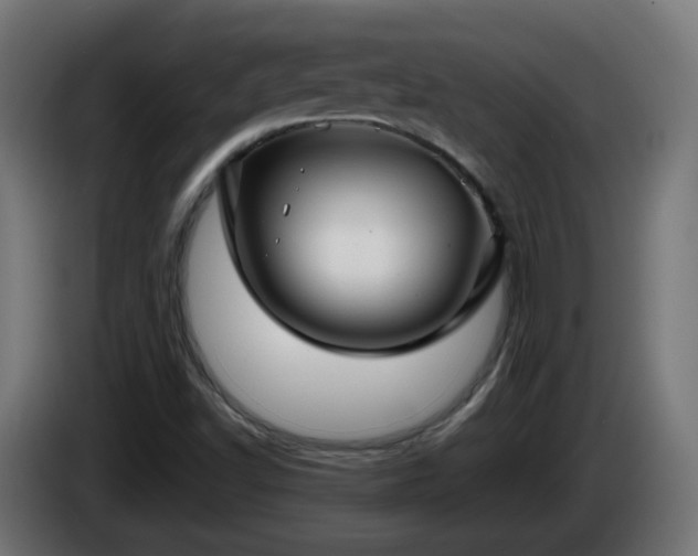 X0000084551502200703021454
