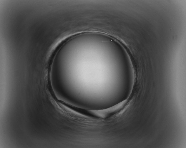 X0000084551503200703021454