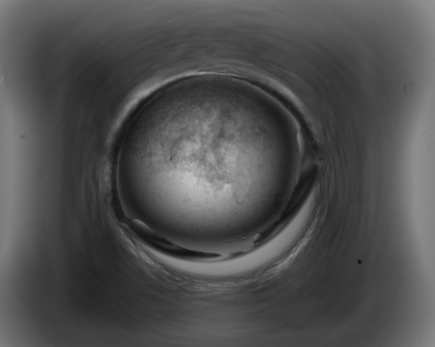 X0000084551506200703021454