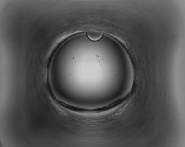 X0000084551507200703021454