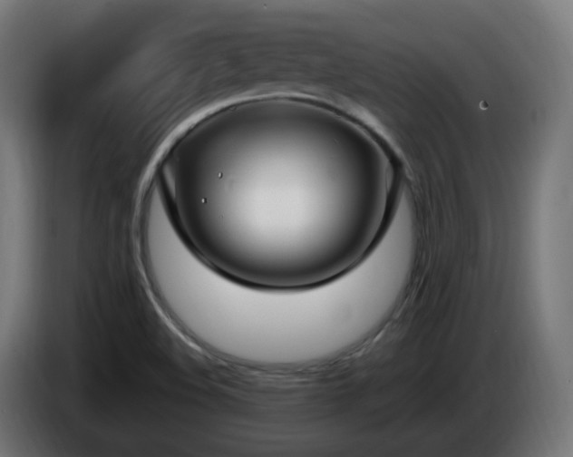 X0000084551508200703021454