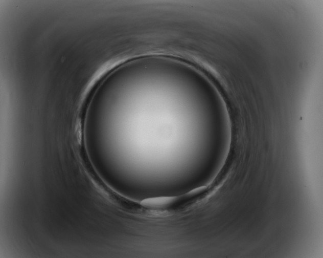 X0000084551509200703021454