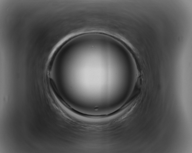 X0000084551510200703021454