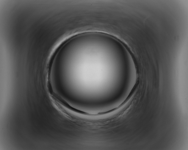 X0000084551511200703021454