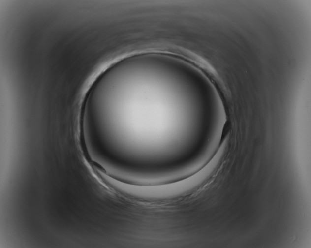X0000084551512200703021454