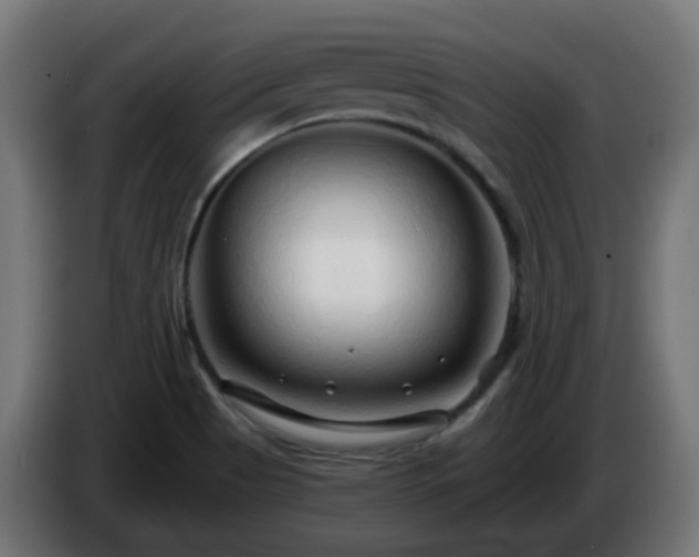 X0000084551513200703021454