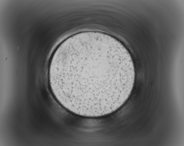 X0000084551514200703021454