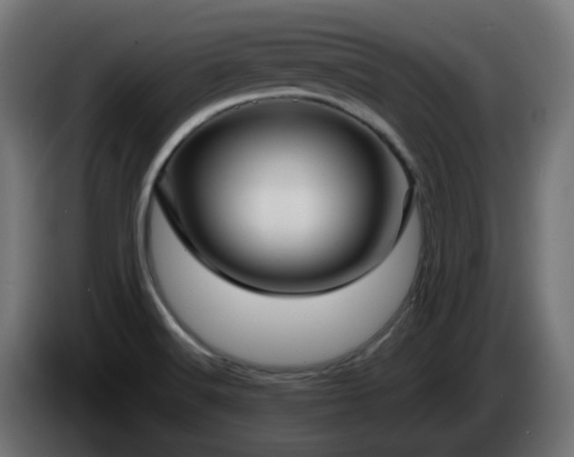 X0000084551516200703021454