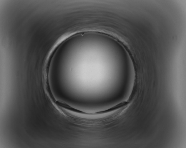 X0000084551517200703021454