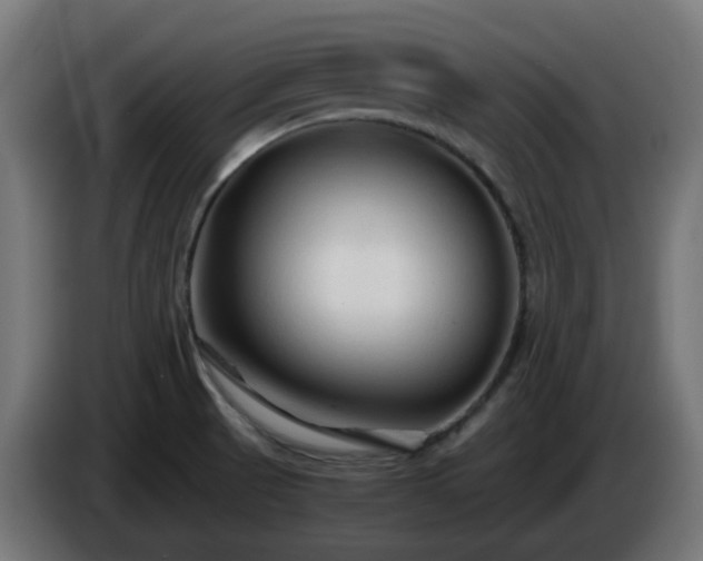 X0000084551521200703021454